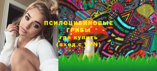 дурь Няндома
