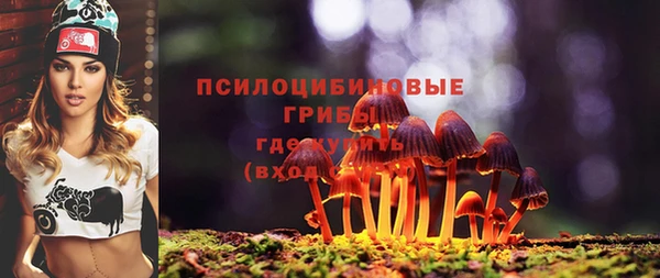 MDMA Premium VHQ Алзамай